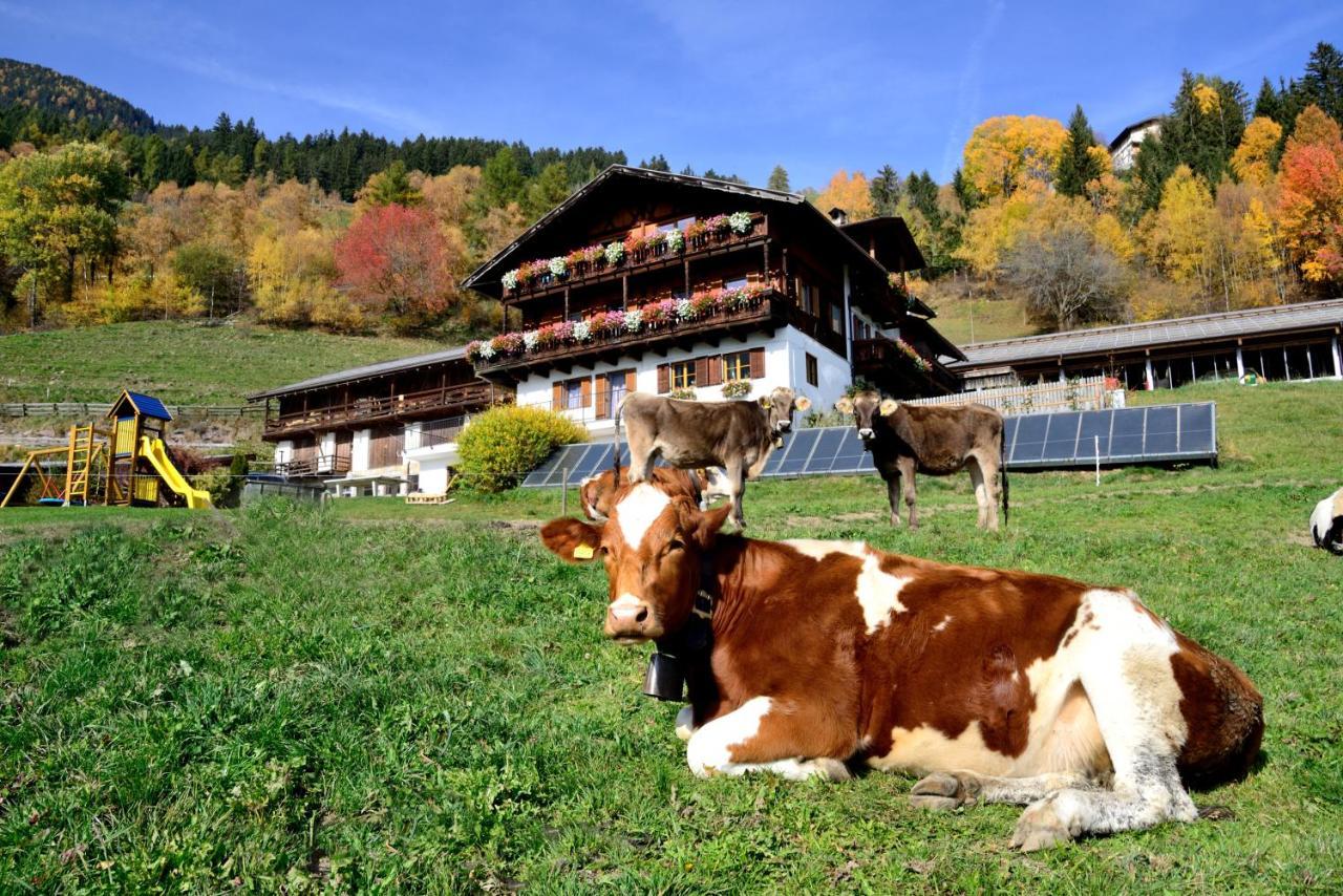 Bed and Breakfast Wegscheiderhof à Bressanone Extérieur photo